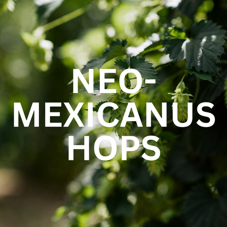 Neomexicanus Hops