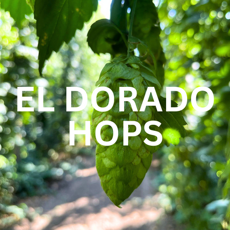 El Dorado Hops